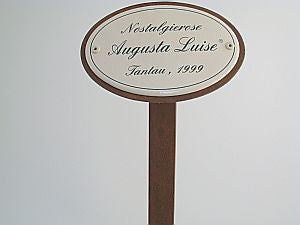 Münder Email Emaille Lagerschilder Rosenstecker Nostalgierosen 10,5x7 cm