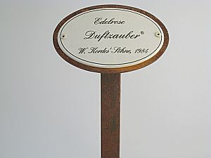 Münder Email Rosenstecker Edelrosen 50cm Erdspieß 10,5x7 Duftzauber