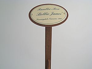 Münder Email Lagerschilder Bobbie James Rosenstecker 50cm oval