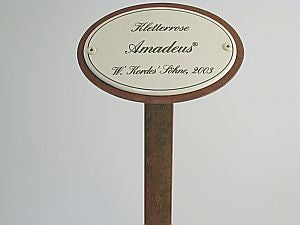 Münder Email Emailschild oval Kletterrosen 10,5x7 cm