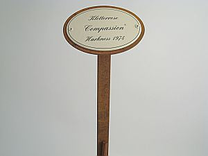 Münder Email Emailschild oval Kletterrosen 10,5x7 cm