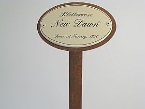 Münder Email Emailschild oval Kletterrosen 10,5x7 cm