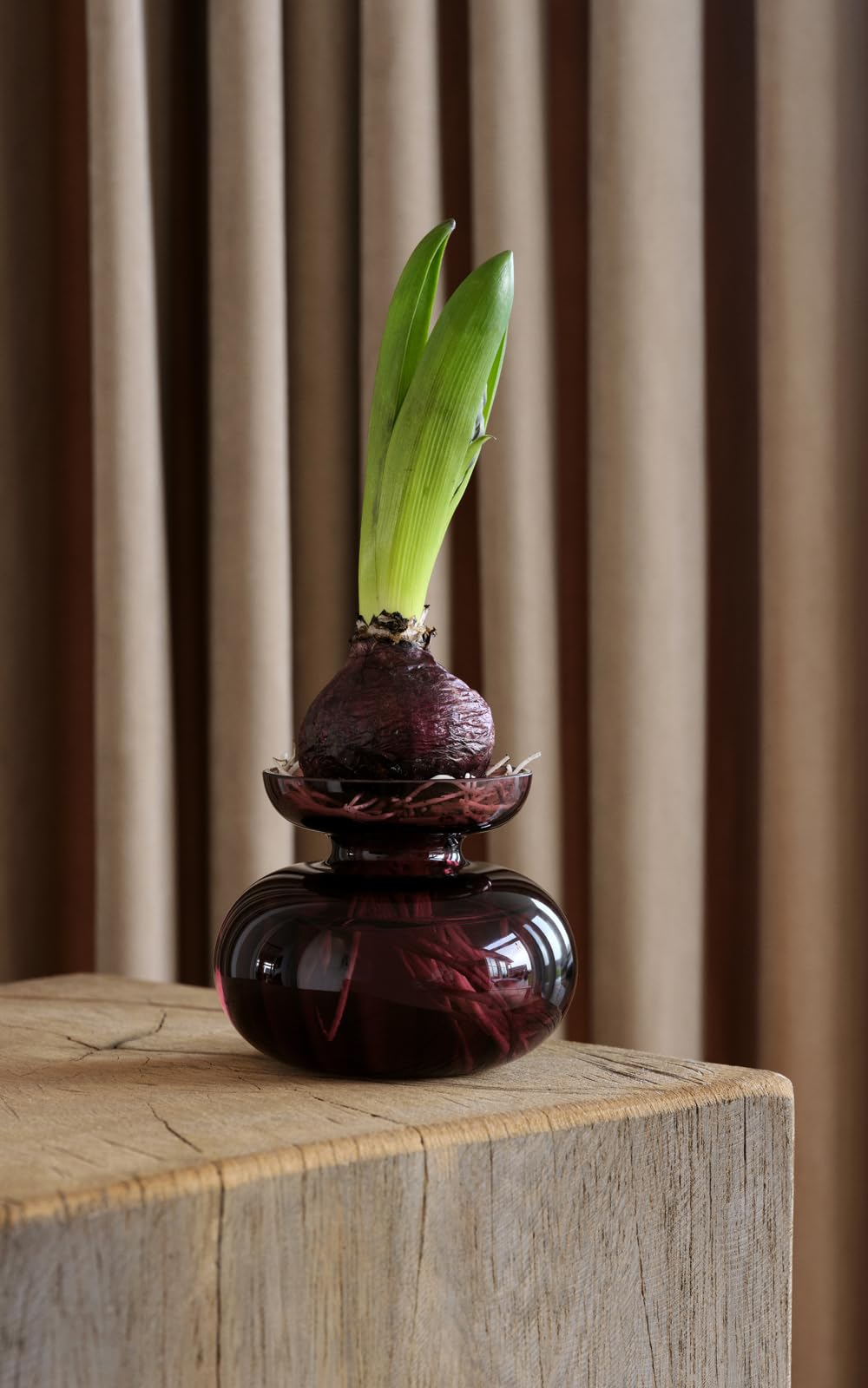 Zone Denmark Inu Vase 11cm Pflaume Glas Blumenvase