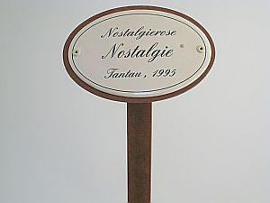 Münder Email Emaille Lagerschilder Rosenstecker Nostalgierosen 10,5x7 cm