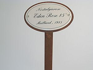 Münder Email Emaille Lagerschilder Rosenstecker Nostalgierosen 10,5x7 cm