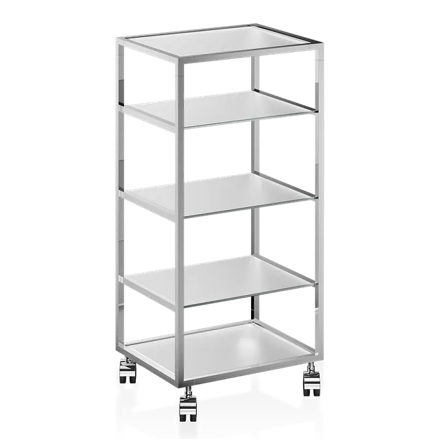 Decor Walther Classic RW 2 Rollschrank Chrom Glas Matt
