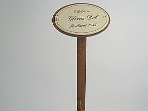 Münder Email Rosenstecker Edelrosen 50cm Erdspieß 10,5x7 Duftzauber