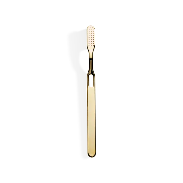 Decor Walther Classic DW 896 Zahnbürste Chrom Nylonborsten
