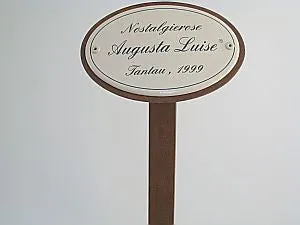 Münder Email Emaille Lagerschilder Rosenstecker Nostalgierosen 10,5x7 cm
