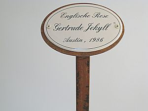 Münder Email Rosennamen Emailschild 10,5x7 cm Erdspieß