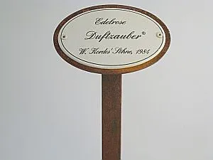 Münder Email Rosenstecker Edelrosen 50cm Erdspieß 10,5x7 Duftzauber