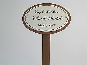 Münder Email Rosennamen Emailschild 10,5x7 cm Erdspieß
