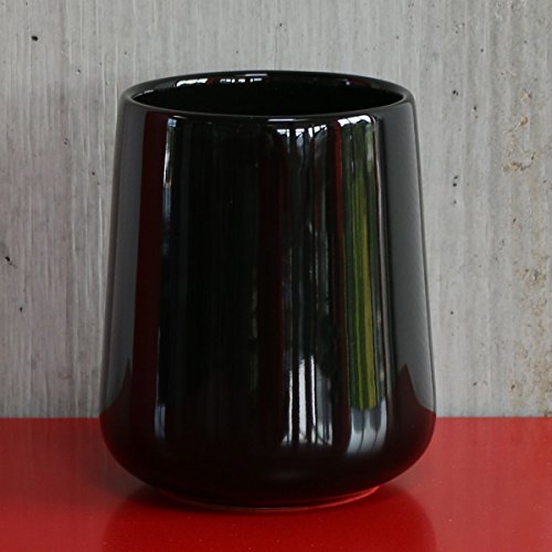 Zone Denmark Nova One Zahnputzbecher Schwarz 250 ml Hochglanz