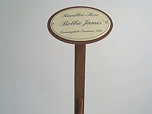 Münder Email Lagerschilder Bobbie James Rosenstecker 50cm oval