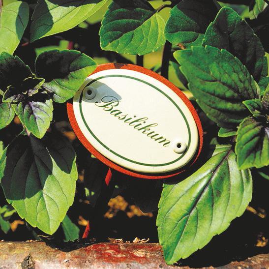 Münder Email Garten Emailschild Rosmarin Kräuterstecker 6x4 cm 25 cm