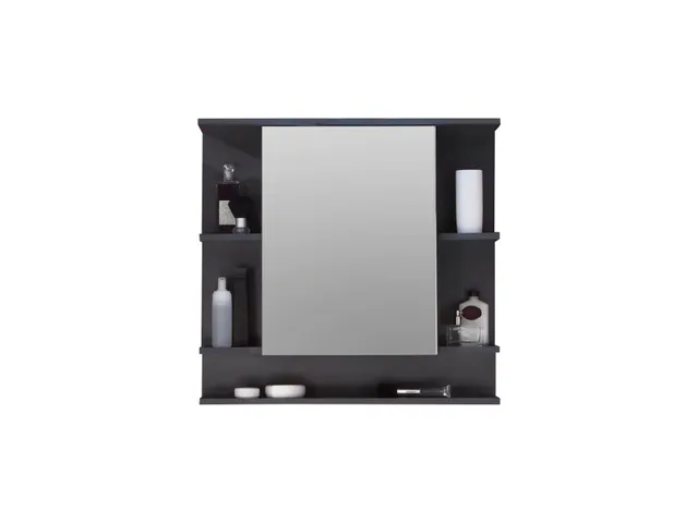trendteam Tetis Spiegelschrank Badschrank Graphit