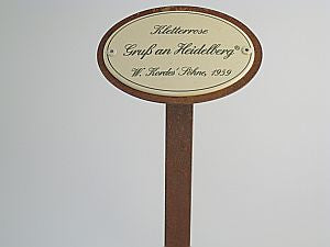 Münder Email Emailschild oval Kletterrosen 10,5x7 cm